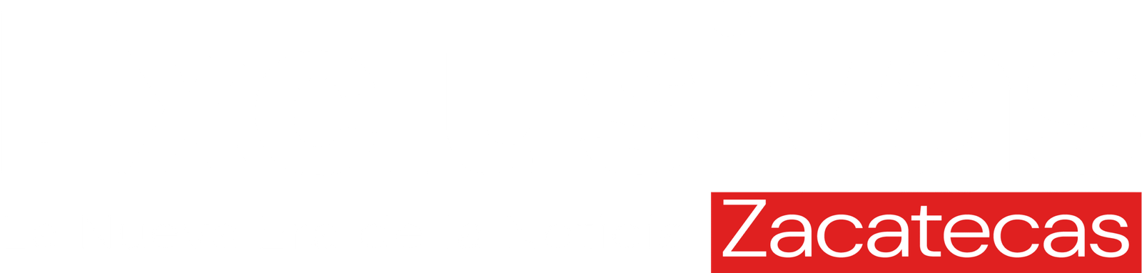 exclusivaszacatecas.com.mx